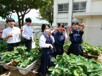 P1004256