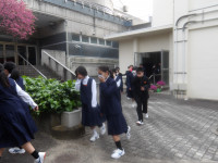 IMGP1791