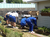 IMGP0009