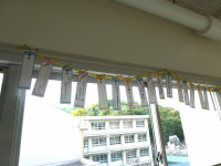 P1004514