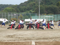 IMGP0622