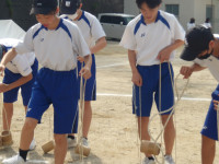 IMGP0631